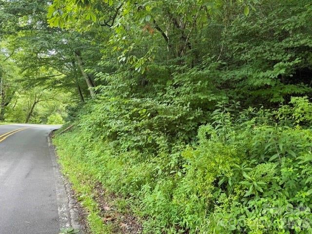 TBD Meadow Fork Rd, Hot Springs, NC 28743