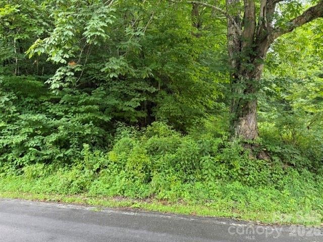 TBD Meadow Fork Rd, Hot Springs, NC 28743