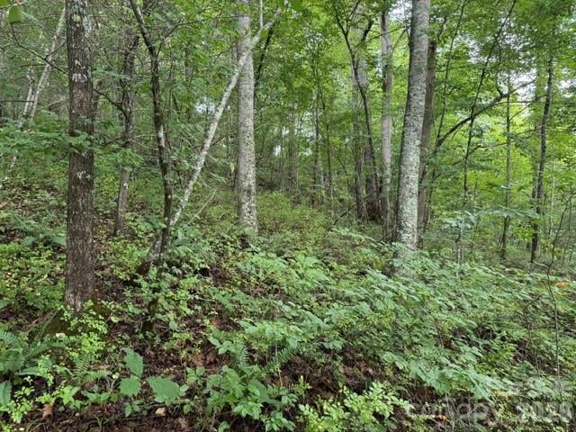 TBD Meadow Fork Rd, Hot Springs, NC 28743