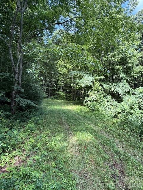 106 Avalon Gap Trl, Waynesville, NC 28785