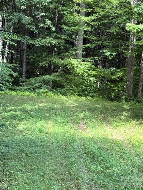 106 Avalon Gap Trl, Waynesville, NC 28785