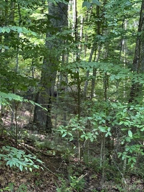 106 Avalon Gap Trl, Waynesville, NC 28785