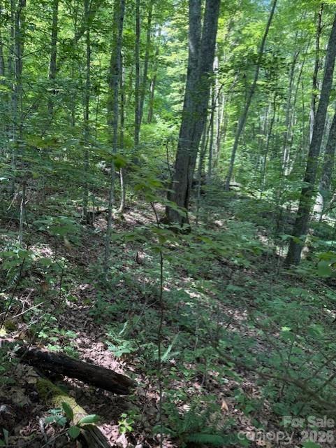 106 Avalon Gap Trl, Waynesville, NC 28785