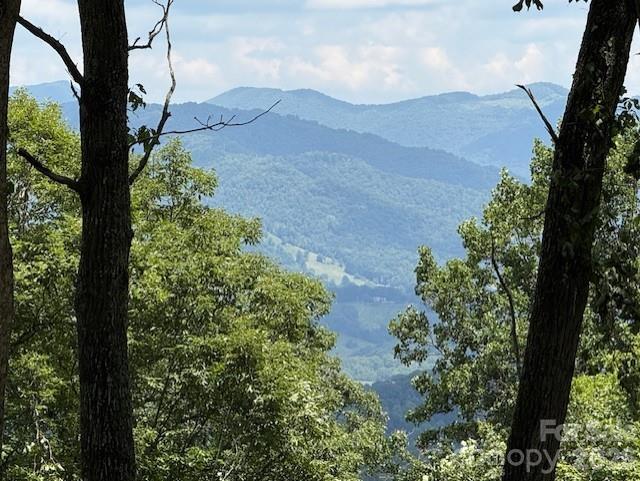 110 Cabin Rg #110, Waynesville, NC 28785