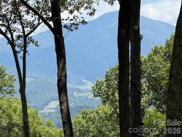 110 Cabin Rg #110, Waynesville, NC 28785