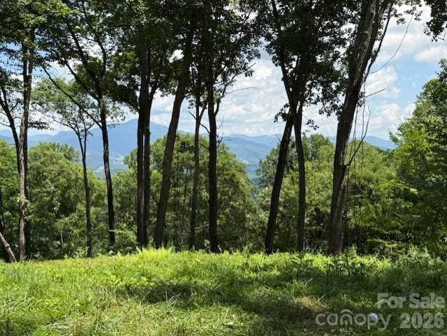 110 Cabin Rg #110, Waynesville, NC 28785