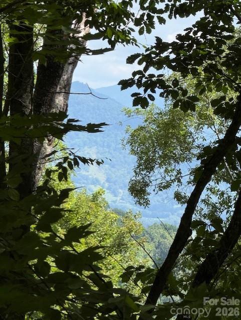 110 Cabin Rg #110, Waynesville, NC 28785