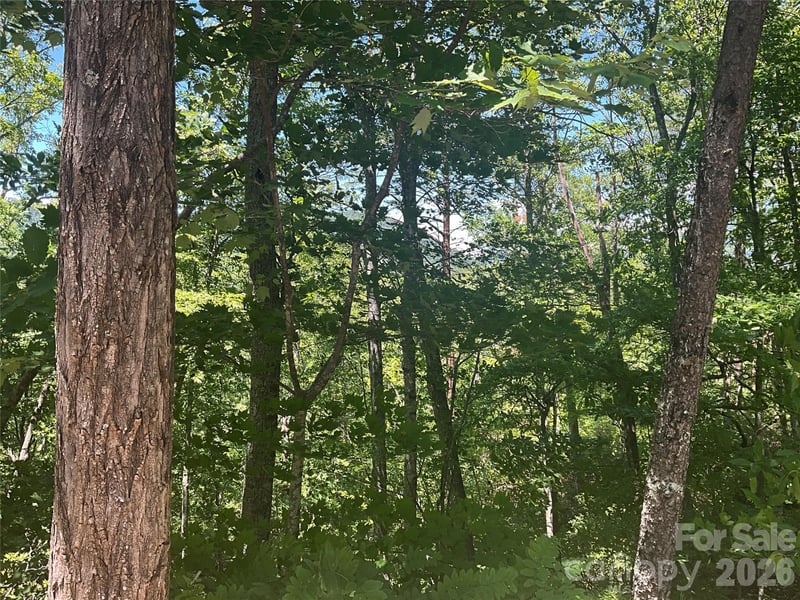 Lot 67 Treetops Ln, Lake Lure, NC 28746