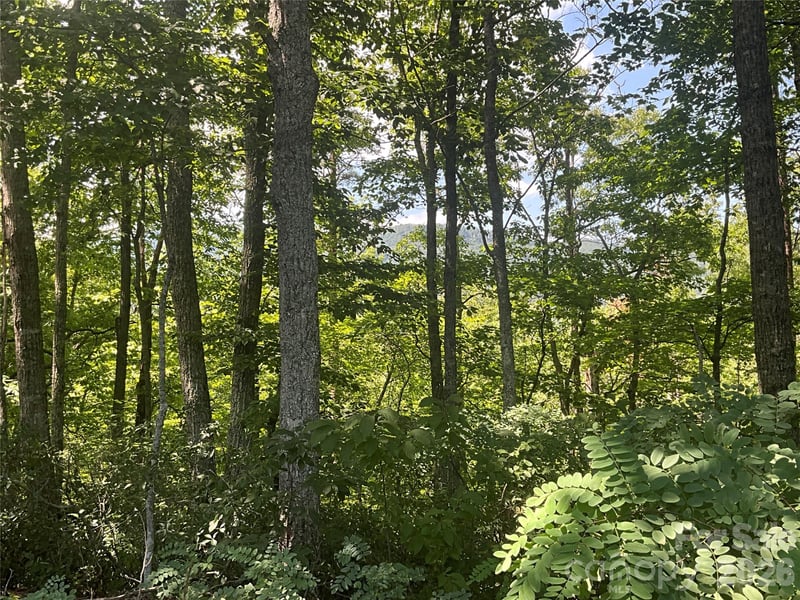 Lot 67 Treetops Ln, Lake Lure, NC 28746