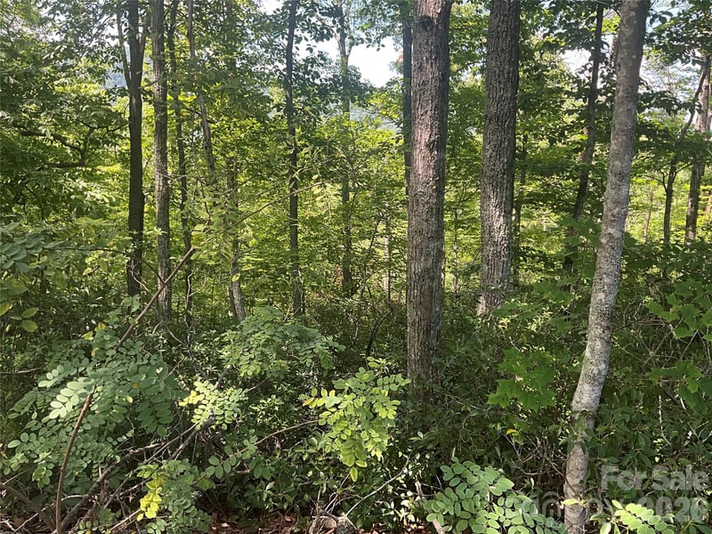 Lot 67 Treetops Ln, Lake Lure, NC 28746