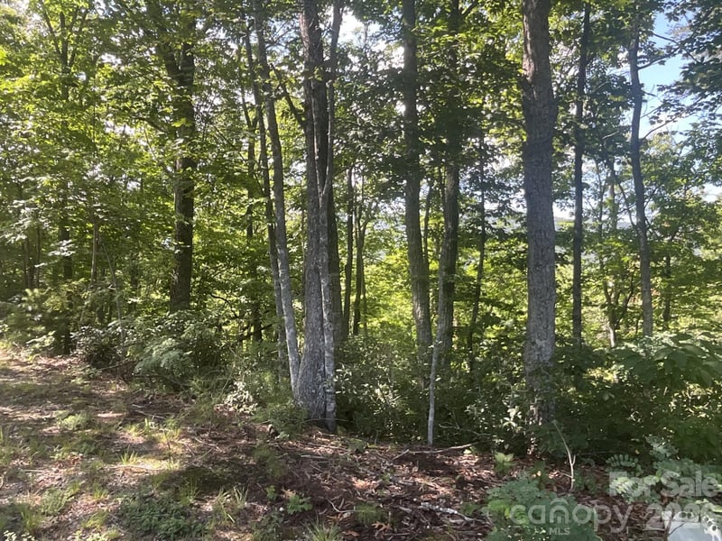 Lot 67 Treetops Ln, Lake Lure, NC 28746
