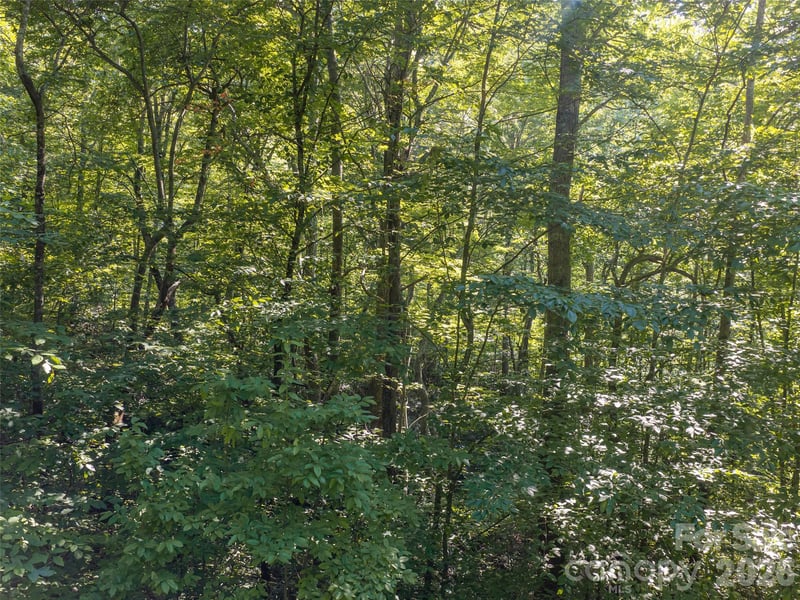 1043 Moss Creek Ln #69, Swannanoa, NC 28778
