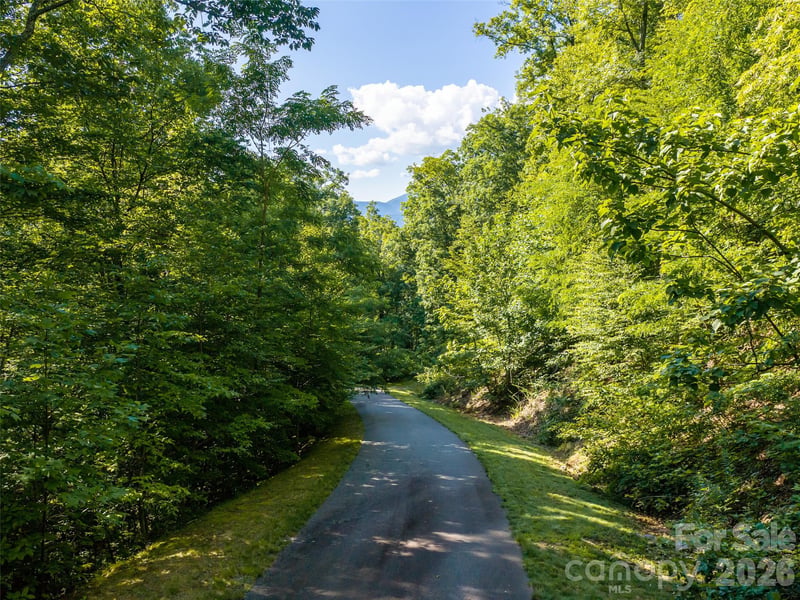 1043 Moss Creek Ln #69, Swannanoa, NC 28778