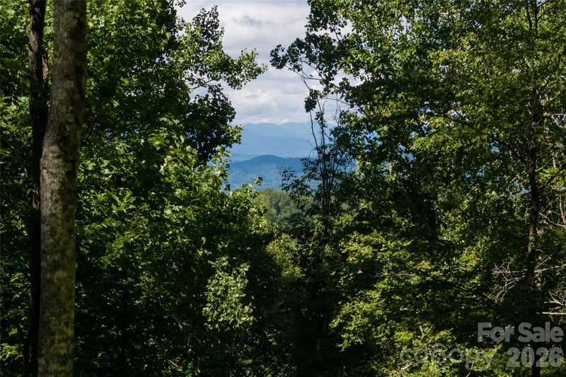 1043 Moss Creek Ln #69, Swannanoa, NC 28778