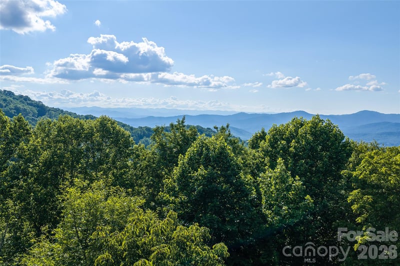1043 Moss Creek Ln #69, Swannanoa, NC 28778