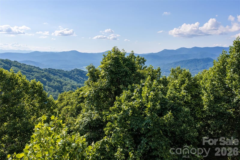 1043 Moss Creek Ln #69, Swannanoa, NC 28778