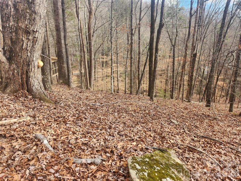 Lot 83 Walnut Ln, Lake Lure, NC 28746