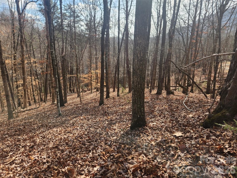 Lot 83 Walnut Ln, Lake Lure, NC 28746