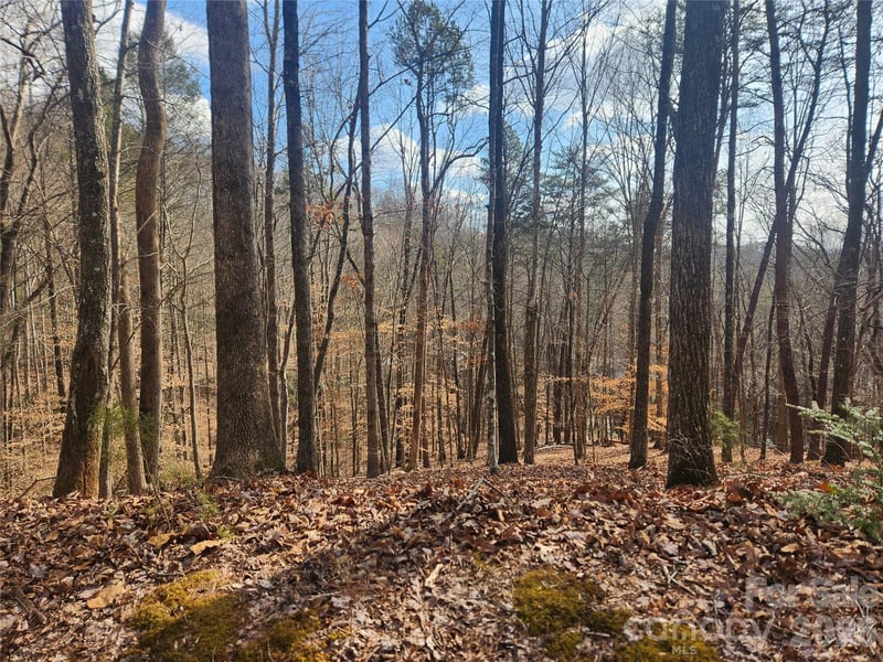 Lot 83 Walnut Ln, Lake Lure, NC 28746