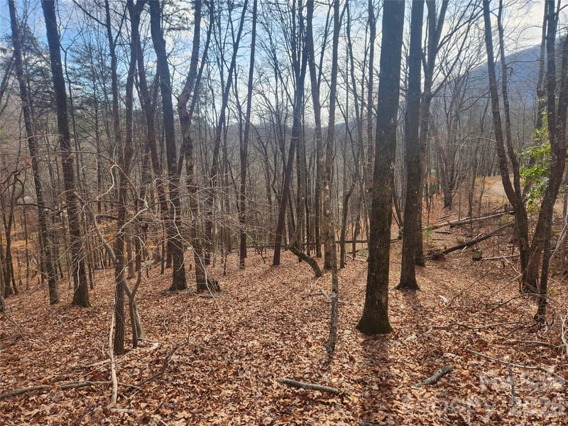 Lot 83 Walnut Ln, Lake Lure, NC 28746