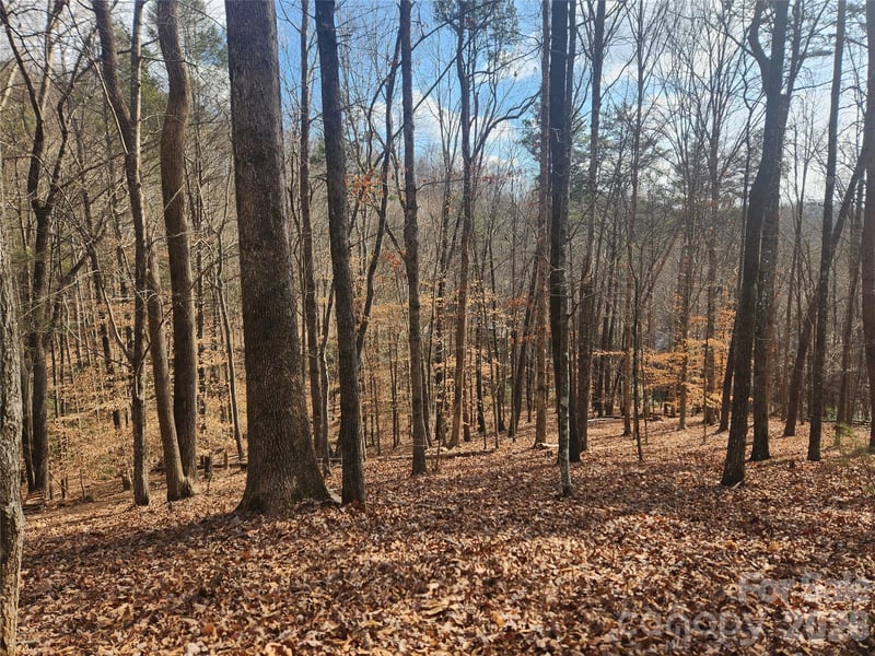 Lot 83 Walnut Ln, Lake Lure, NC 28746