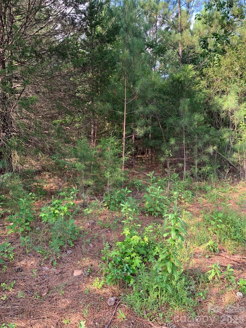 Rock House Rd, Blacksburg, SC 29702