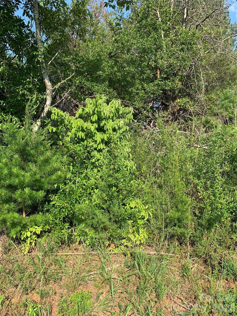 Rock House Rd, Blacksburg, SC 29702