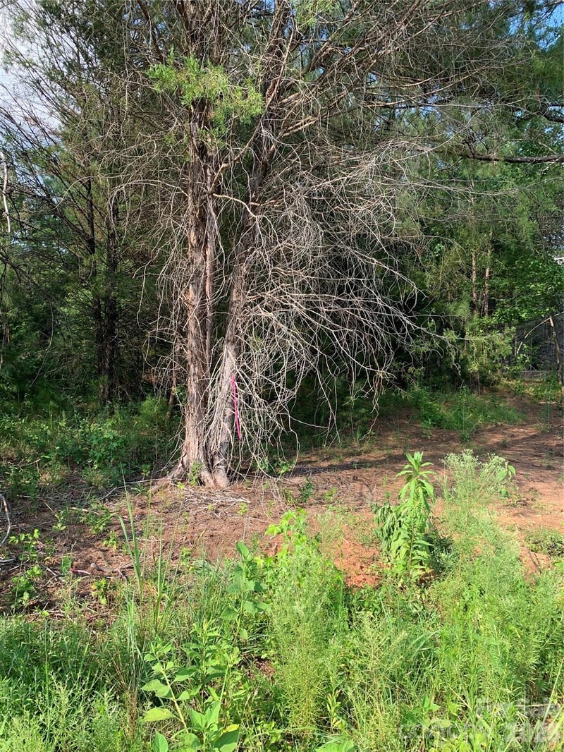 Rock House Rd, Blacksburg, SC 29702