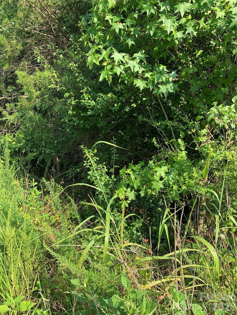 Rock House Rd, Blacksburg, SC 29702