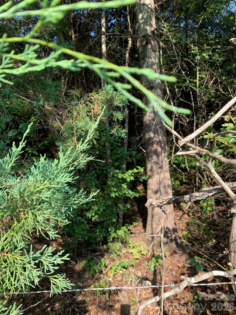 Rock House Rd, Blacksburg, SC 29702