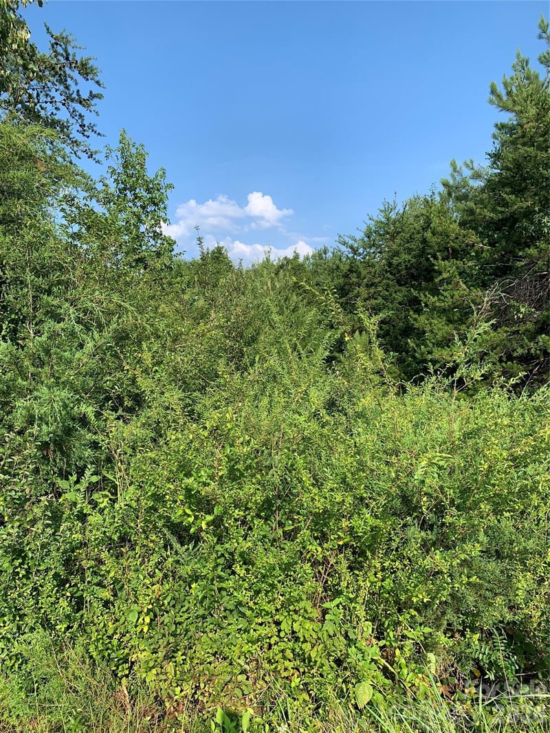 Rock House Rd, Blacksburg, SC 29702