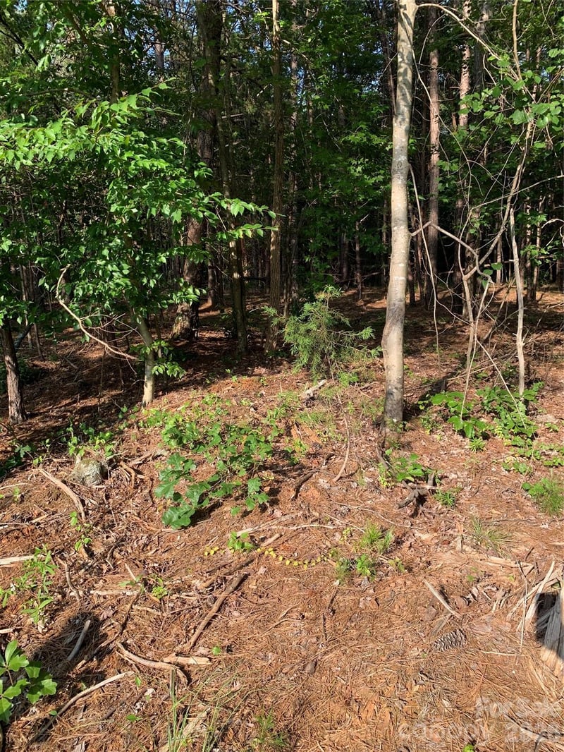 Rock House Rd, Blacksburg, SC 29702
