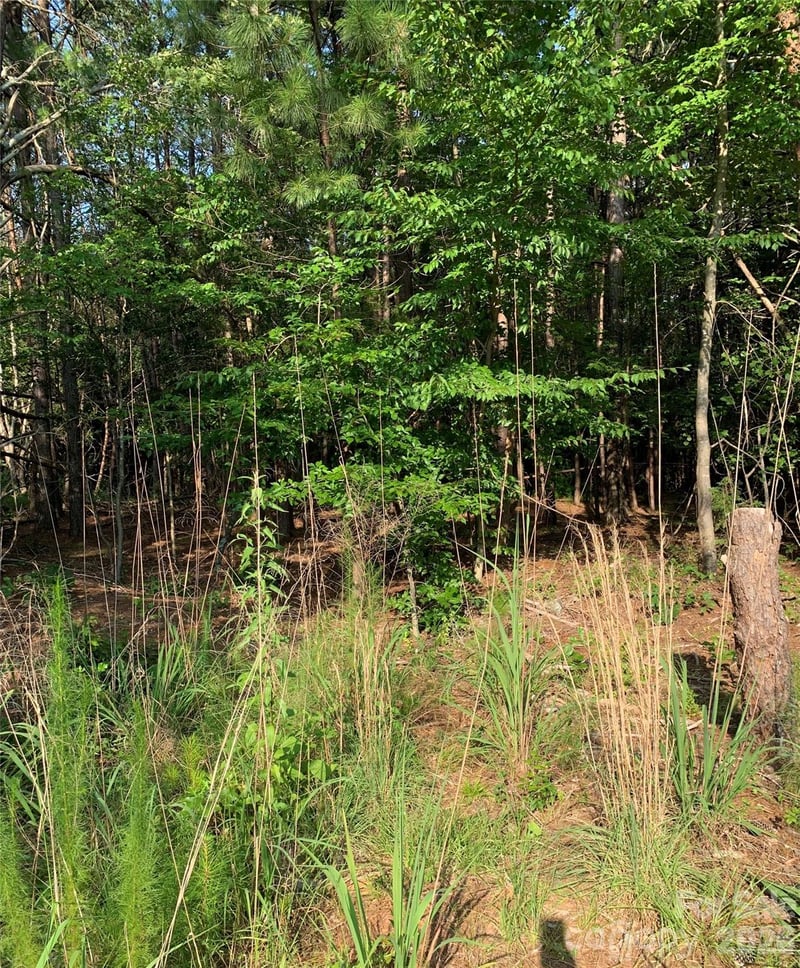 Rock House Rd, Blacksburg, SC 29702