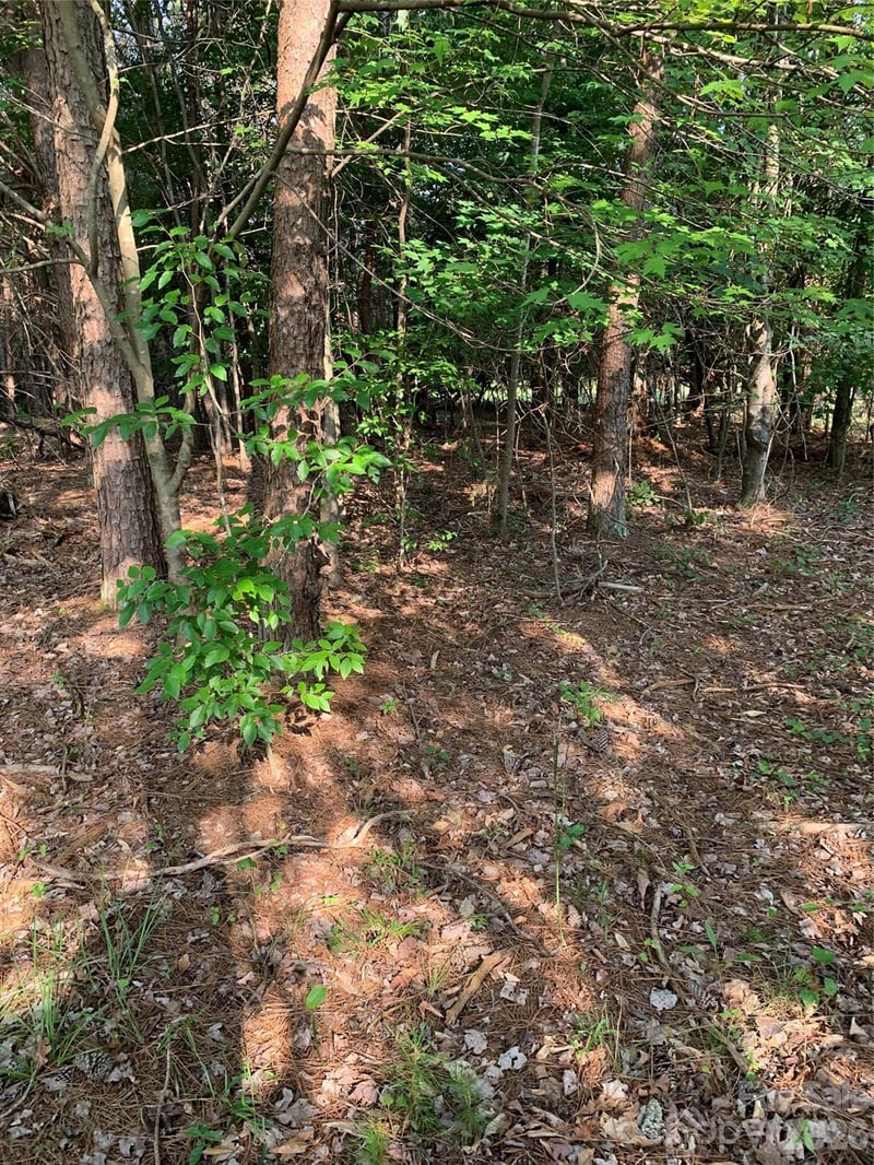 Rock House Rd, Blacksburg, SC 29702