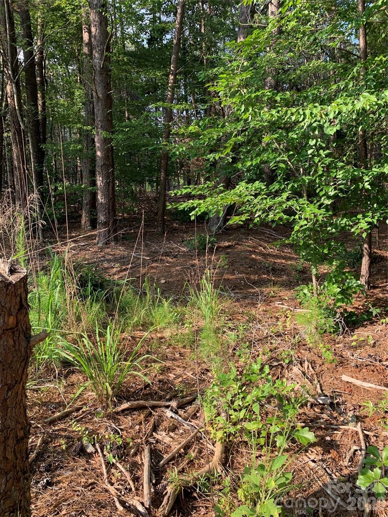Rock House Rd, Blacksburg, SC 29702