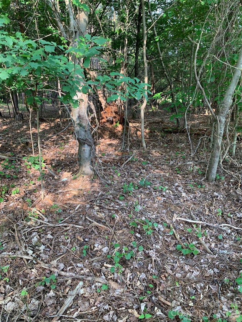 Rock House Rd, Blacksburg, SC 29702
