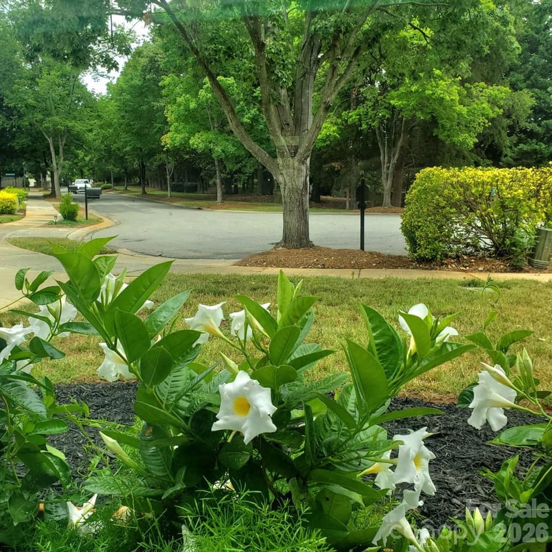 20452 Greenway Heights Dr, Cornelius, NC 28031