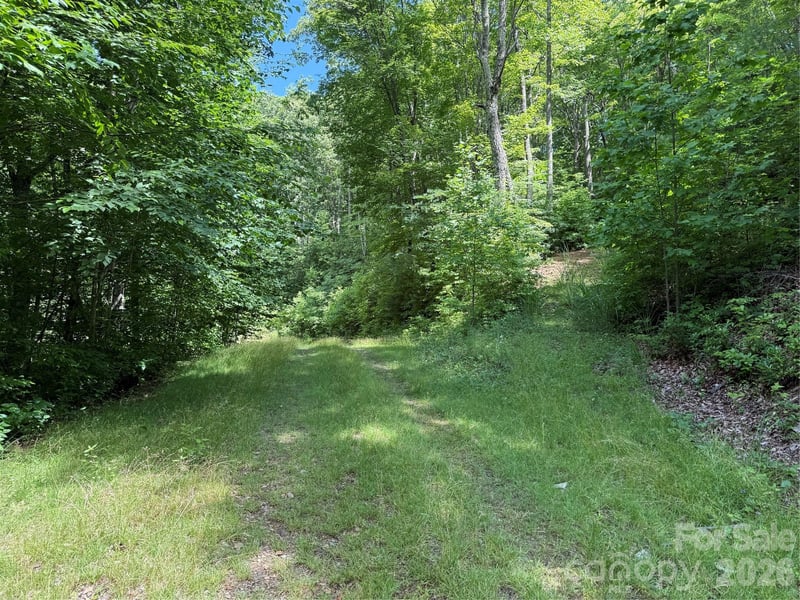999 Hawks Nest Dr #86, Burnsville, NC 28714