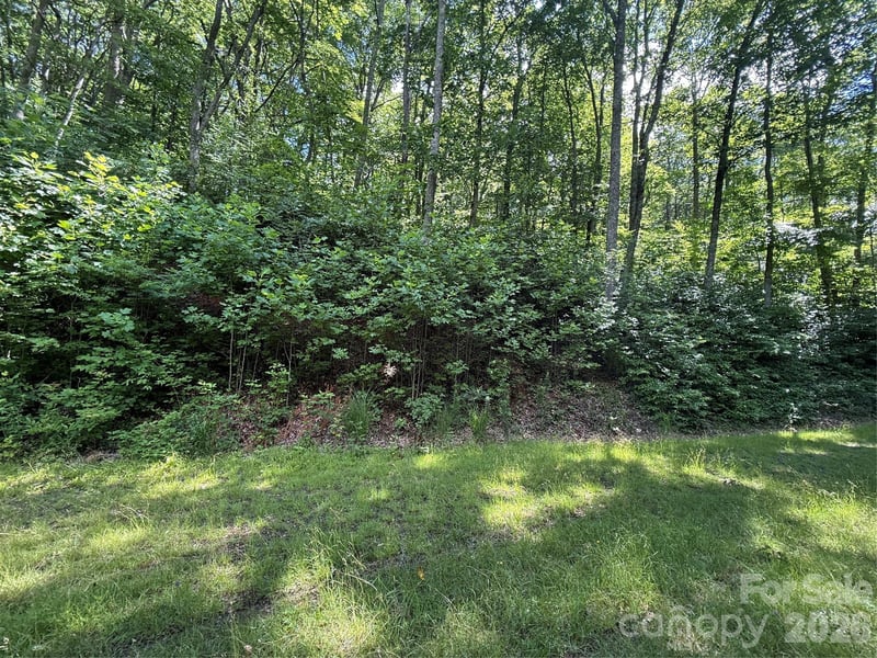 999 Hawks Nest Dr #86, Burnsville, NC 28714