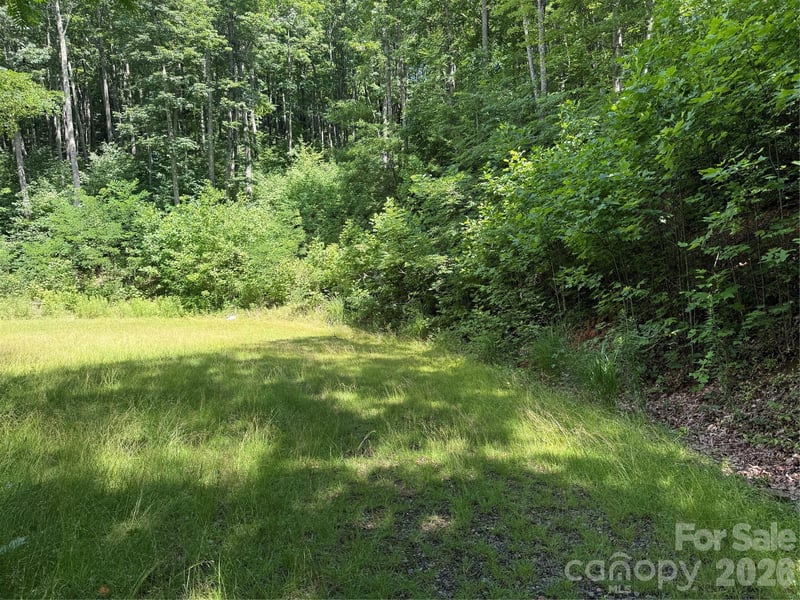 999 Hawks Nest Dr #86, Burnsville, NC 28714