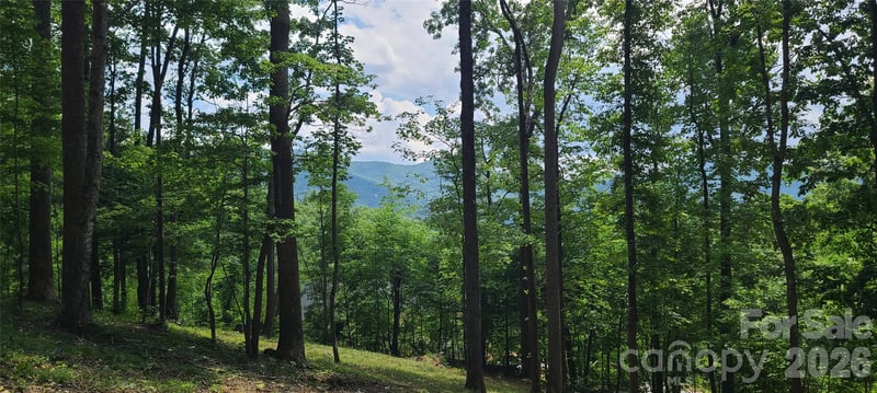 16 Nellie Bell Ln, Swannanoa, NC 28778