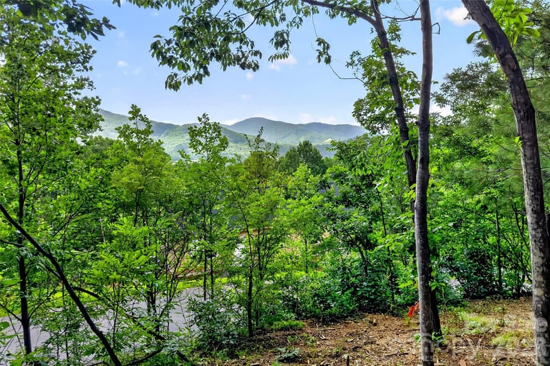 16 Nellie Bell Ln, Swannanoa, NC 28778