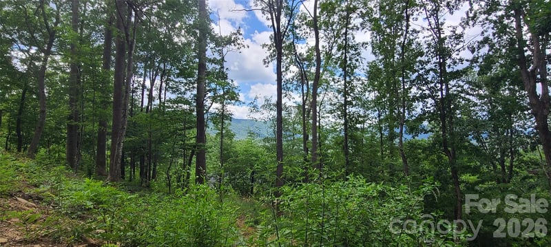32 Nellie Bell Ln, Swannanoa, NC 28778