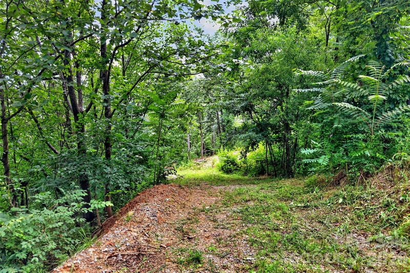 32 Nellie Bell Ln, Swannanoa, NC 28778