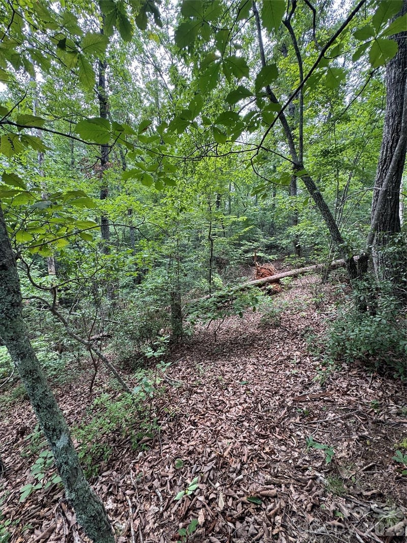 Raven Blvd, Lake Lure, NC 28746