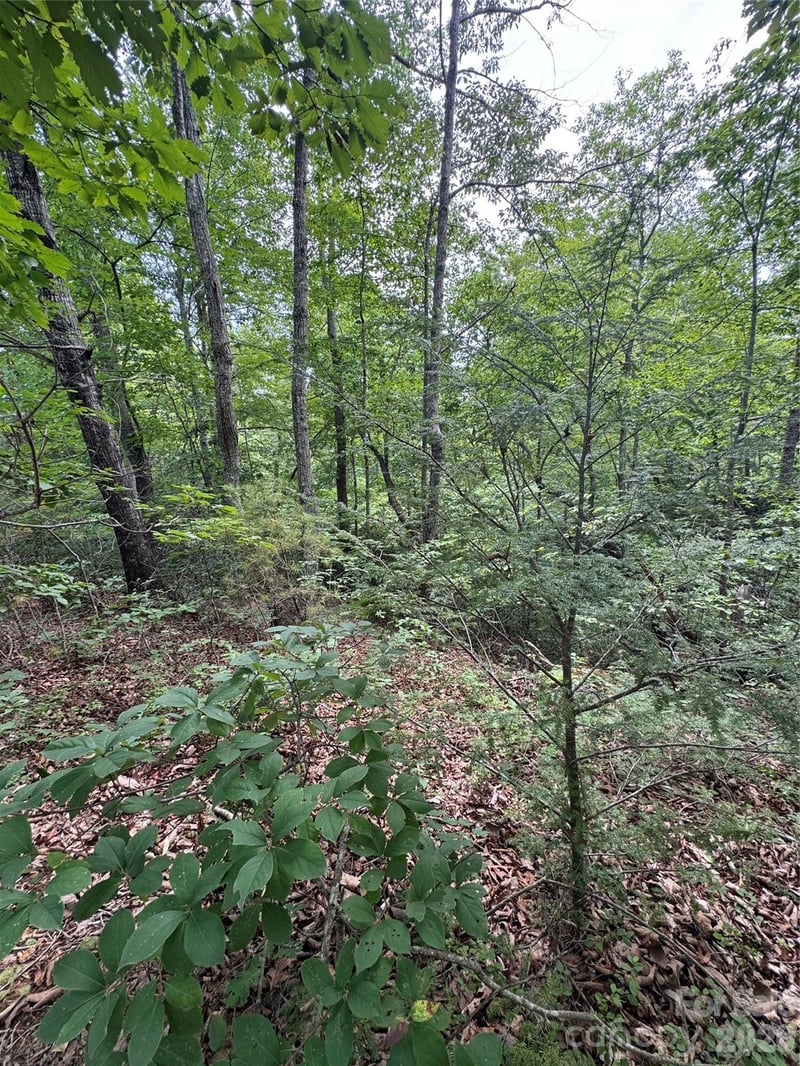 Raven Blvd, Lake Lure, NC 28746