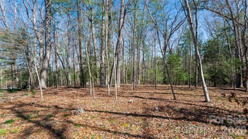 12 Stuyvesant Crescent, Asheville, NC 28803