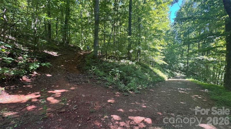 1802 Off Sr None, Saluda, NC 28773