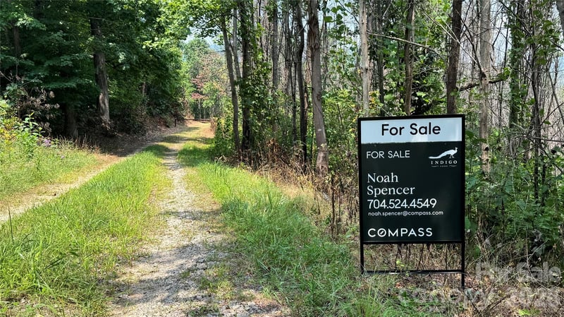 1802 Off Sr None, Saluda, NC 28773