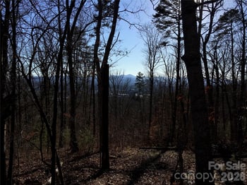 28 Samuel Ashe Dr, Asheville, NC 28805